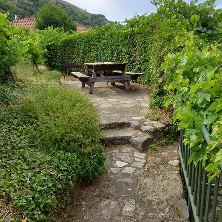 Calista Saint-Julien-Des-Chazes